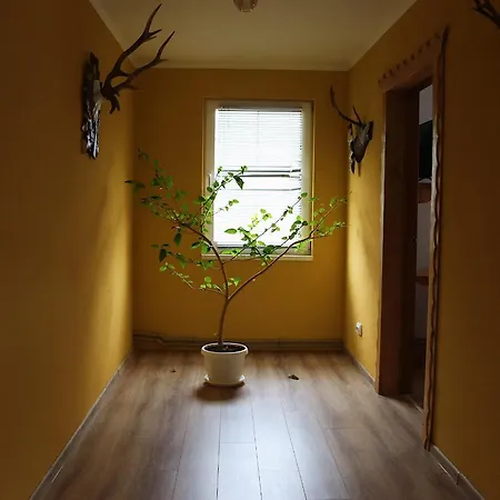 сільська Bed & Breakfast